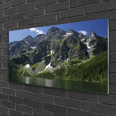 Quadro acrilico Montagna del paesaggio del lago della foresta