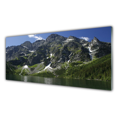 Quadro acrilico Montagna del paesaggio del lago della foresta