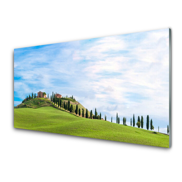 Quadro su vetro acrilico Paesaggio degli alberi del prato