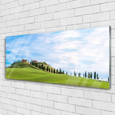 Quadro su vetro acrilico Paesaggio degli alberi del prato