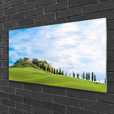 Quadro su vetro acrilico Paesaggio degli alberi del prato