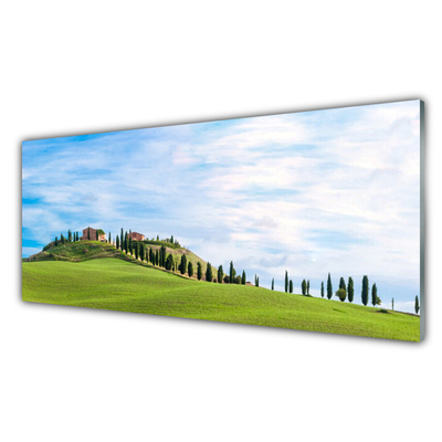 Quadro su vetro acrilico Paesaggio degli alberi del prato