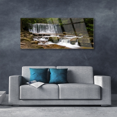 Quadro acrilico Cascata della natura della foresta