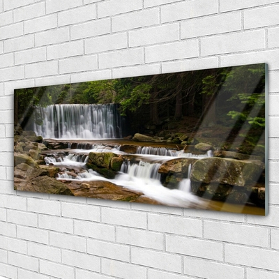 Quadro acrilico Cascata della natura della foresta