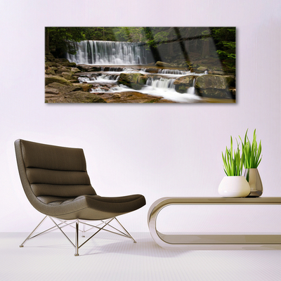 Quadro acrilico Cascata della natura della foresta