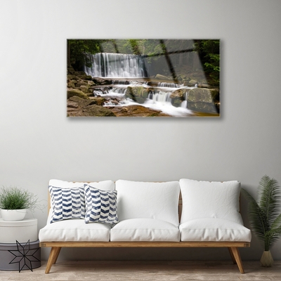 Quadro acrilico Cascata della natura della foresta