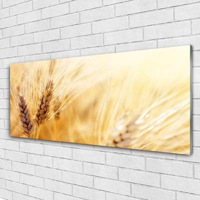 Quadro acrilico Grano vegetale naturale