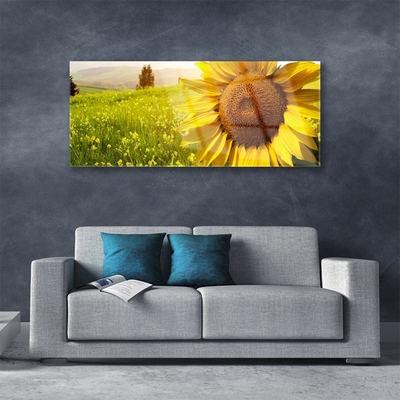 Quadro acrilico Pianta di fiori di girasole