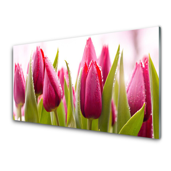 Quadro acrilico Tulipani, fiori, piante