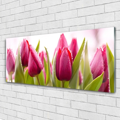 Quadro acrilico Tulipani, fiori, piante