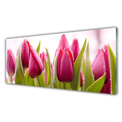 Quadro acrilico Tulipani, fiori, piante