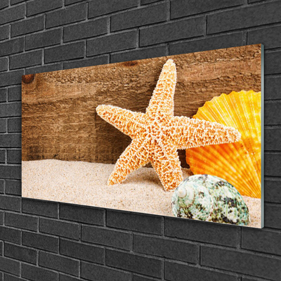 Quadro in vetro acrilico Arte della stella marina di sabbia