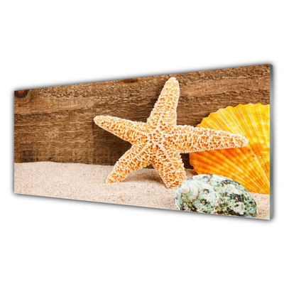 Quadro in vetro acrilico Arte della stella marina di sabbia