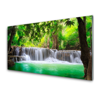 Quadro acrilico Cascata del lago della foresta naturale