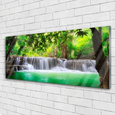 Quadro acrilico Cascata del lago della foresta naturale