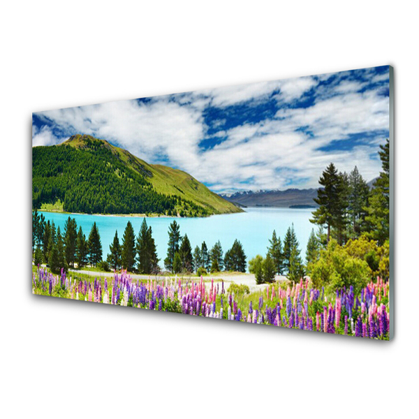 Quadro su vetro acrilico Paesaggio del lago della foresta di montagna