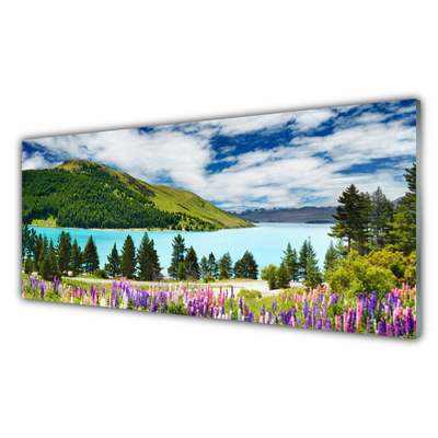 Quadro su vetro acrilico Paesaggio del lago della foresta di montagna