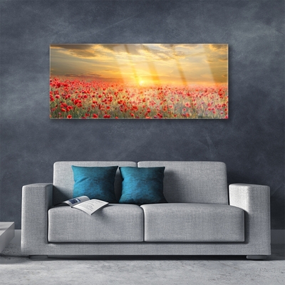 Quadro acrilico Fiori di papavero del prato del sole