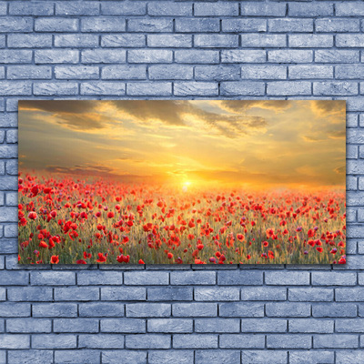 Quadro acrilico Fiori di papavero del prato del sole