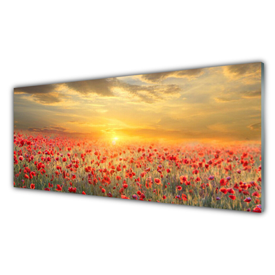 Quadro acrilico Fiori di papavero del prato del sole