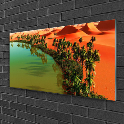 Quadro in vetro acrilico Lago Palm Desert