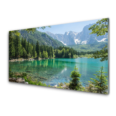 Quadro su vetro acrilico Foresta Natura Lago Montagne