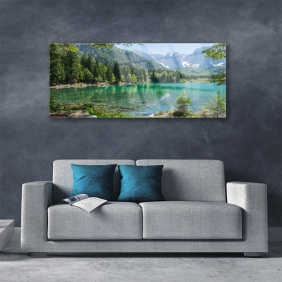 Quadro su vetro acrilico Foresta Natura Lago Montagne