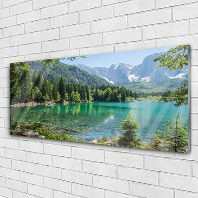 Quadro su vetro acrilico Foresta Natura Lago Montagne