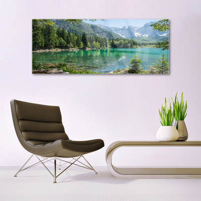 Quadro su vetro acrilico Foresta Natura Lago Montagne