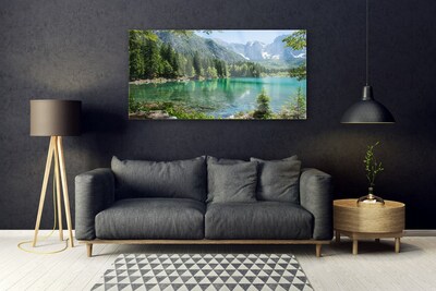 Quadro su vetro acrilico Foresta Natura Lago Montagne