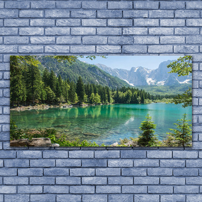 Quadro su vetro acrilico Foresta Natura Lago Montagne