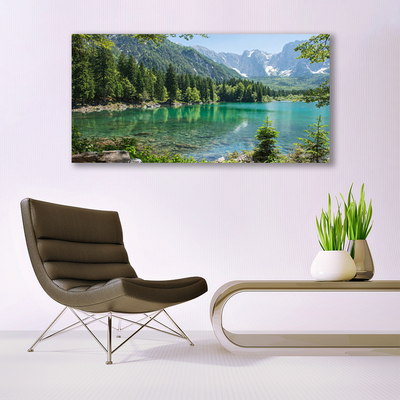 Quadro su vetro acrilico Foresta Natura Lago Montagne