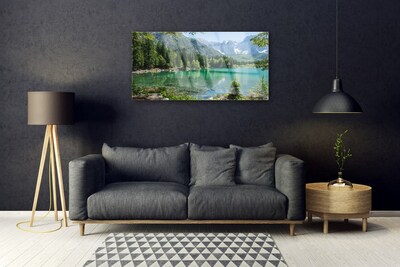 Quadro su vetro acrilico Foresta Natura Lago Montagne