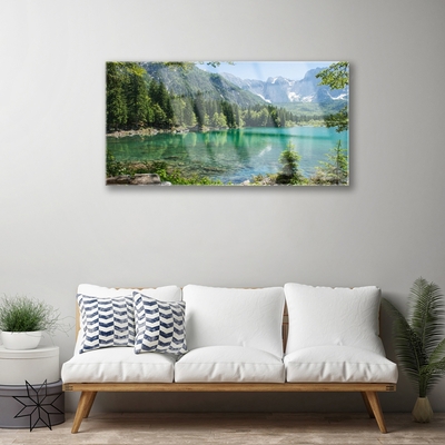 Quadro su vetro acrilico Foresta Natura Lago Montagne