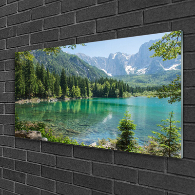 Quadro su vetro acrilico Foresta Natura Lago Montagne