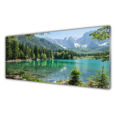 Quadro su vetro acrilico Foresta Natura Lago Montagne