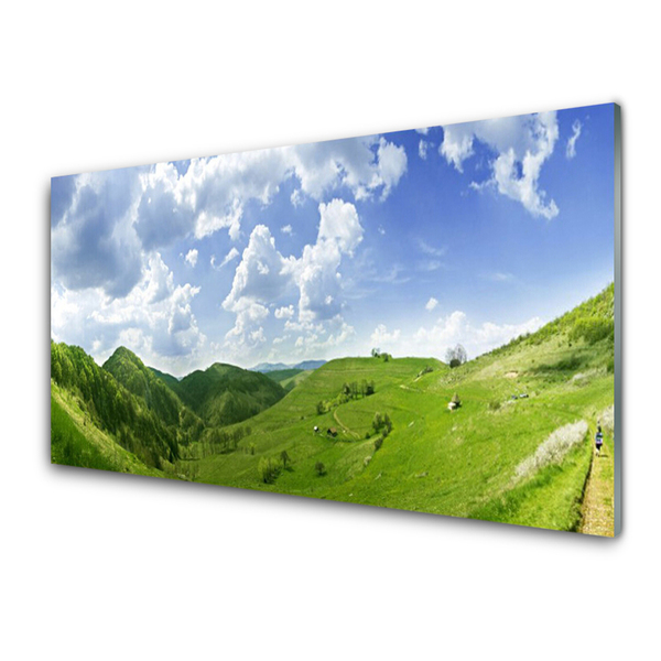 Quadro in vetro acrilico Campo della natura del prato di montagna