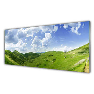 Quadro in vetro acrilico Campo della natura del prato di montagna