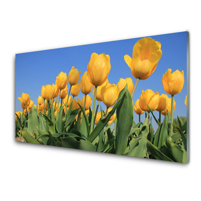 Quadro acrilico Tulipani, fiori, piante