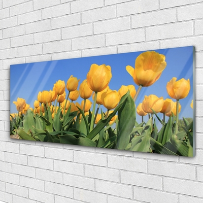 Quadro acrilico Tulipani, fiori, piante