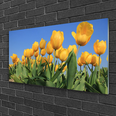 Quadro acrilico Tulipani, fiori, piante