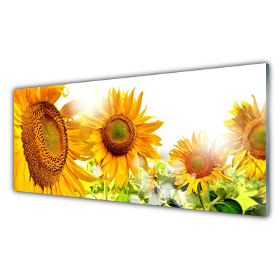 Quadro in vetro acrilico Pianta di fiori di girasole