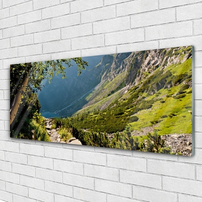 Quadro su vetro acrilico Natura della foresta di montagna