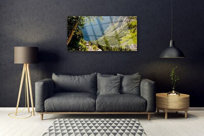 Quadro su vetro acrilico Natura della foresta di montagna