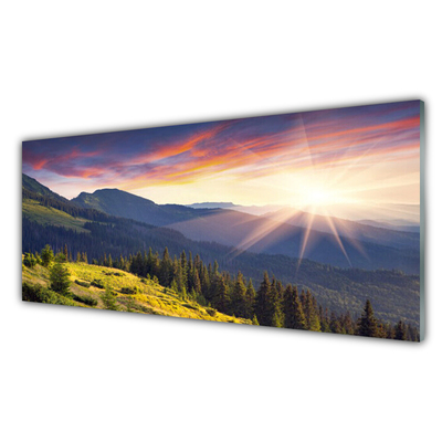 Quadro acrilico Paesaggio del sole della montagna della foresta