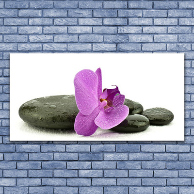 Quadro acrilico Fiore di orchidea orchidea