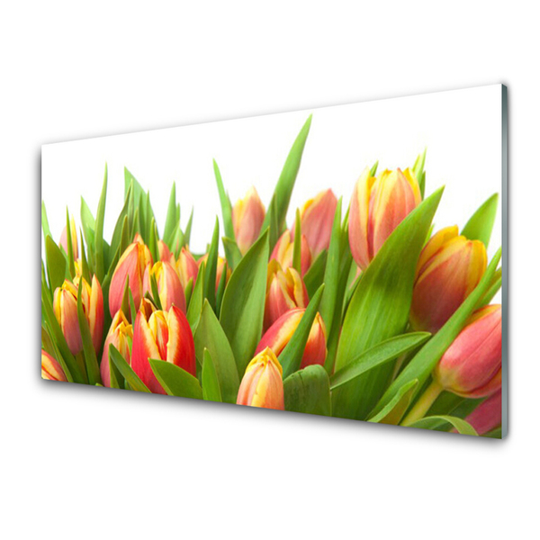 Quadro in vetro acrilico Tulipani, fiori, piante