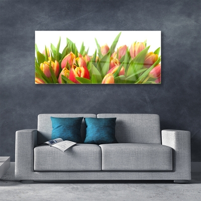 Quadro in vetro acrilico Tulipani, fiori, piante