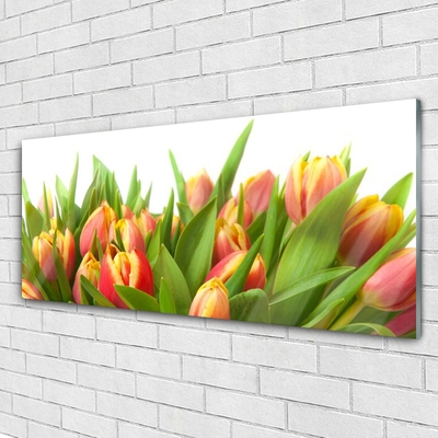 Quadro in vetro acrilico Tulipani, fiori, piante