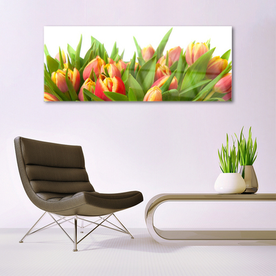 Quadro in vetro acrilico Tulipani, fiori, piante